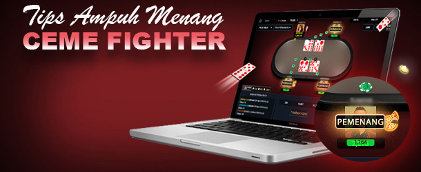 TOTOJITU | TIPS AMPUH MENANG CEME FIGHTER